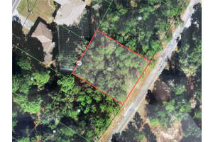 10380 SHERMAN DRIVE, CITRUS SPRINGS, FL 34434 - MLS#MFROM702364