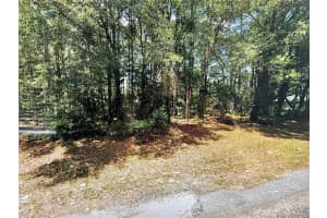 10380 SHERMAN DRIVE, CITRUS SPRINGS, FL 34434 - MLS#MFROM702364