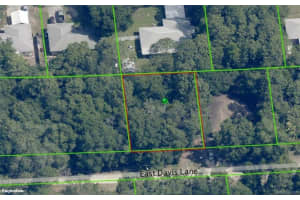 3157 DAVIS LANE, INVERNESS, FL 34453 Sold 07/17/25