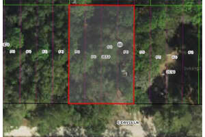 3157 DAVIS LANE, INVERNESS, FL 34453 Sold 07/17/25