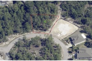 19 RUDBECKIA COURT, HOMOSASSA, FL 34446 - MLS#MFROM702366