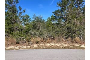 19 RUDBECKIA COURT, HOMOSASSA, FL 34446 - MLS#MFROM702366