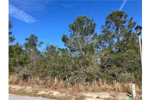 17 RUDBECKIA COURT, HOMOSASSA, FL 34446 - MLS#MFROM702367