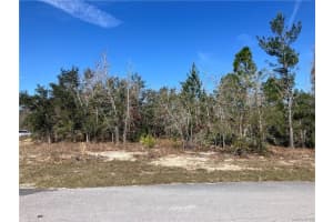 17 RUDBECKIA COURT, HOMOSASSA, FL 34446 - MLS#MFROM702367