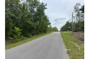 Lot 14 CHANEL HEIGHTS COURT, DUNNELLON, FL 34431 - MLS#MFROM702425