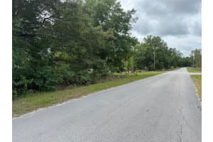 Lot 422 & 423 SHOREWOOD DRIVE, DUNNELLON, FL 34431 - MLS#MFROM702435