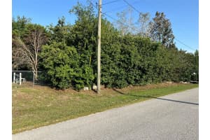 14085 59TH COURT, SUMMERFIELD, FL 34491 - MLS#MFROM702572