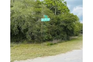 00 140TH AVENUE, OCALA, FL 34481 - MLS#MFROM702635
