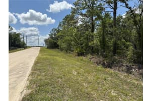 00 140TH AVENUE, OCALA, FL 34481 - MLS#MFROM702635
