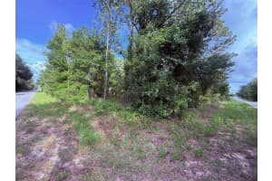 1159 REDWOOD DRIVE, DUNNELLON, FL 34431 - MLS#MFROM702657