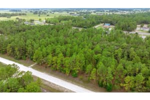 SW 64 ST, OCALA, FL 34481 - MLS#MFROM702691