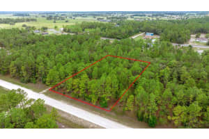 SW 64 ST, OCALA, FL 34481 - MLS#MFROM702691