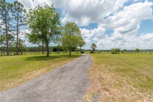 19225 NW HIGHWAY 335, WILLISTON, FL 32696 Sold 09/12/25