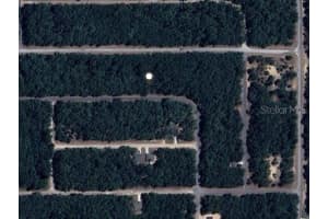 9239 PATCH DRIVE, DUNNELLON, FL 34434 - MLS#MFROM702710