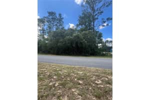 61 PL RD SW, OCALA, FL 34481 - MLS#MFROM702726