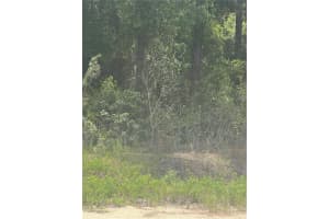 61 PL RD SW, OCALA, FL 34481 - MLS#MFROM702726
