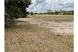 9750 49TH STREET, BRONSON, FL 32621 - MLS#MFROM702731