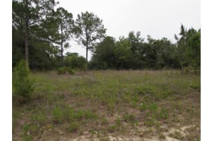 Lot 40 SOUTH WIND COURT, DUNNELLON, FL 34431 - MLS#MFROM702795