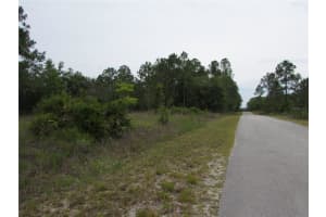 Lot 40 SOUTH WIND COURT, DUNNELLON, FL 34431 - MLS#MFROM702795
