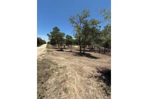 SE 148TH AVE, WILLISTON, FL 32696 - MLS#MFROM702851