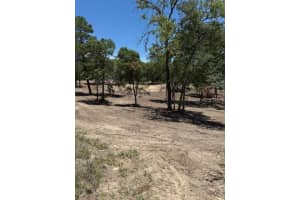 SE 148TH AVE, WILLISTON, FL 32696 - MLS#MFROM702851