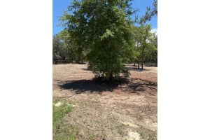 SE 148TH AVE, WILLISTON, FL 32696 - MLS#MFROM702851