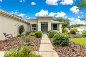 8961 130TH LOOP, SUMMERFIELD, FL 34491 - MLS#MFROM702856
