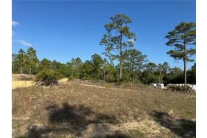 6597 GRAYTON TERRACE, DUNNELLON, FL 34433 Sold 07/14/25