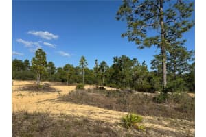 6597 GRAYTON TERRACE, DUNNELLON, FL 34433 Sold 07/14/25