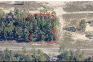 2905 SHARPES DRIVE, CITRUS SPRINGS, FL 34433 - MLS#MFROM702899