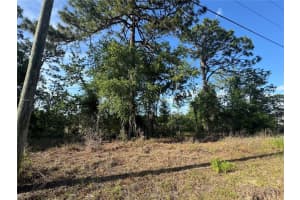 415 HOMEWAY LOOP, CITRUS SPRINGS, FL 34434 Sold 07/14/25