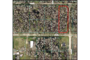 TBD, OCALA, FL 34481 - MLS#MFROM702967