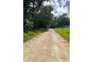 TBD, OCALA, FL 34481 - MLS#MFROM702967