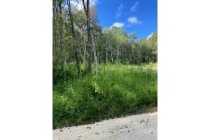 TBD, OCALA, FL 34481 - MLS#MFROM702967