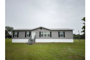 4012 150TH STREET, SUMMERFIELD, FL 34491 - MLS#MFROM702993