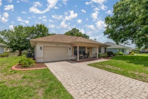 11326 175TH PLACE, SUMMERFIELD, FL 34491 - MLS#MFROM703074