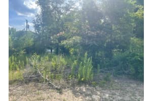 TBD 81ST STREET, DUNNELLON, FL 34431 Sold 07/18/25