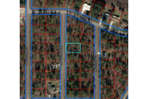 NE 151ST AVE, WILLISTON, FL 32696 Sold 08/19/25