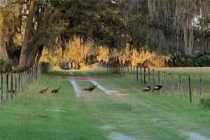 1360 S State Road 19, PALATKA