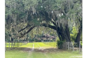 1360 S STATE ROAD 19, PALATKA, FL 32177 - MLS#MFROM703128
