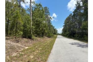 TBD SOUTHVIEW COURT, DUNNELLON, FL 34431 - MLS#MFROM703192