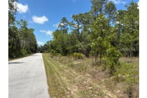 TBD SOUTHVIEW COURT, DUNNELLON, FL 34431 - MLS#MFROM703192