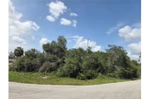0 SW 153RD LOOP, OCALA, FL 34473 - MLS#MFROM703223