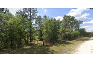 9031 MANILA TERRACE, DUNNELLON, FL 34433 Sold 06/30/25