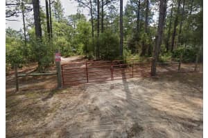 9031 MANILA TERRACE, DUNNELLON, FL 34433 Sold 06/30/25