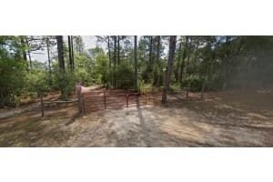 9031 MANILA TERRACE, DUNNELLON, FL 34433 Sold 06/30/25