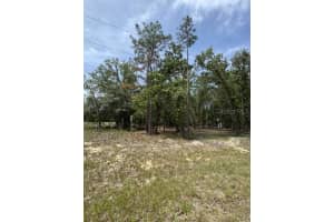 SW 82ND LOOP, DUNNELLON, FL 34431 Sold 07/02/25