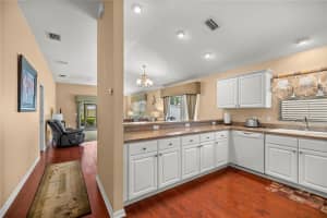 1204 FLAMINGO PLACE, THE VILLAGES, FL 32162 Sold 08/14/25