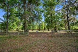 NW 7TH ST, OCALA, FL 34482 - MLS#MFROM703290