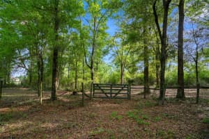 NW 7TH ST, OCALA, FL 34482 - MLS#MFROM703290